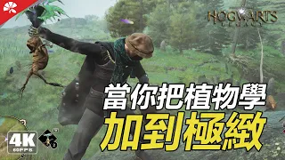 當你把植物學加到極緻  | 霍格华兹的传承 | When you take botany to the extreme | Hogwarts Legacy