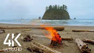 8HRS of Campfire Crackling Sounds and Ocean Waves Sounds on the Second Beach, Olympic National Park