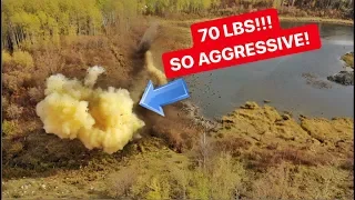 70 LBS Of Tannerite VS BEAVER DAM!!!