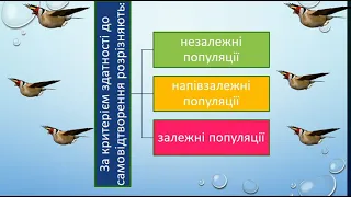 Популяції. Класифікація популяцій. Структура та характеристики популяцій.