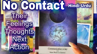 Hindi-Urdu | No Contact | Their Feelings Thoughts Next Action | Timeless Tarot💕