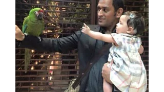 Dhoni's  Best moments with his daughter Ziva | funny moments |