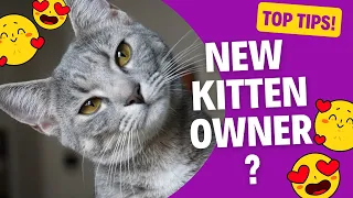 Simple tips for new kitten owners