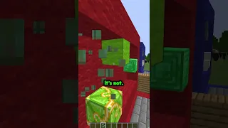 Minecraft Guess Who 5