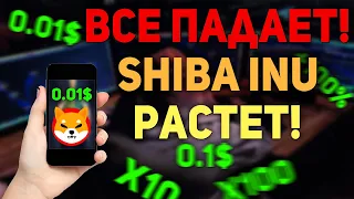 Пока Весь Рынок Красный! Shiba Inu Будет Расти - Shiba Новости