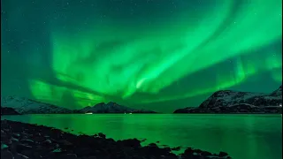 El espectacular 'baile' de unas ballenas bajo la aurora boreal en Noruega