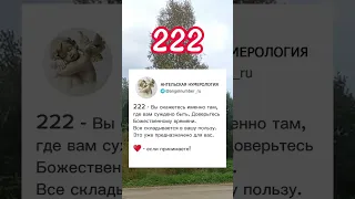 222 Ангельская нумерология 🙏