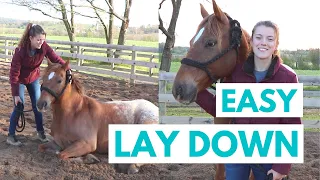 How to Teach a Horse to Lay Down (The EASY Way)