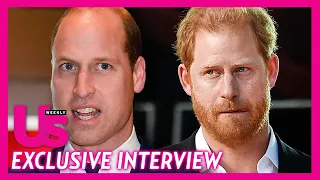 Prince Harry & Prince William Emotional State After Princess Diana's Death Revealed