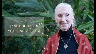 Jane Goodall's 2021 Year End Message