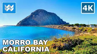 [4K] Morro Bay, California USA - Walking from Embarcadero to Morro Rock Beach Travel Guide 🎧