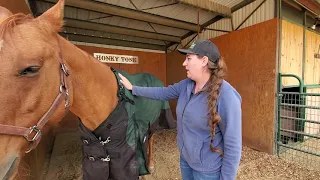 How To Measure For and Put On A Horse Blanket