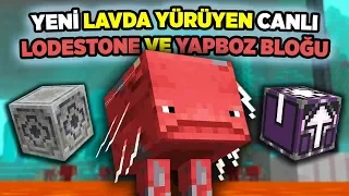 Lavda Yürüyen Yeni Canlı, Yeni Bloklar, Yapboz Bloğu | 20w13a