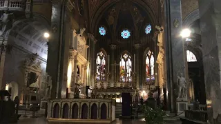 Music in Basilica Santa Maria sopra Minerva Rome