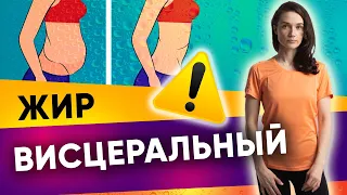 Как избавиться от висцерального жира?| Фитнес-тренер Евгения Кузнецова 12+