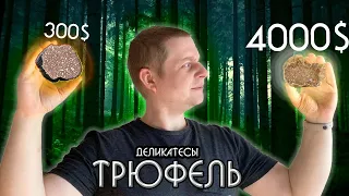 Трюфель. Почему так дорого? Не простая история подземного деликатеса