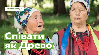 Співати як Древо з Крячківки  • Ukraïner