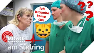 "Ich bin NICHT gestürzt!" Rüstige Rentnerin sträubt sich gegen die OP 😨 | Klinik am Südring | SAT.1