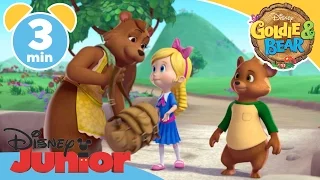 Goldie & Bear | The Troll Tamer | Disney Junior UK