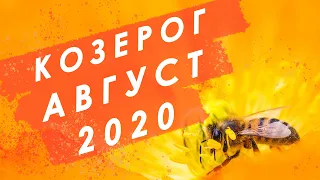 КОЗЕРОГ - Таро прогноз на АВГУСТ 2020 года | Таро онлайн | Таро гадание | Расклад