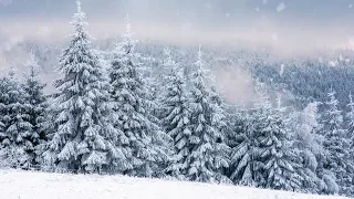 Christmas and Peaceful Instrumental Music, Meditation Music "Star of Wonder" by Tim Janis