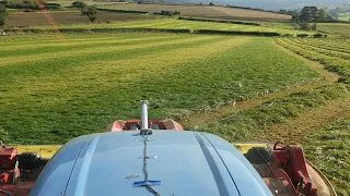 STRIPES IN THE 3RD CUT, WHATS GOING ON