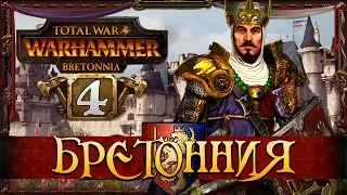 Истребление зеленокожих - Прохождение за фракцию Бретонния #4 | Total War: Warhammer