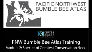 PNW Bumble Bee Atlas Workshop  - Module 2: Species of Greatest Conservation Need