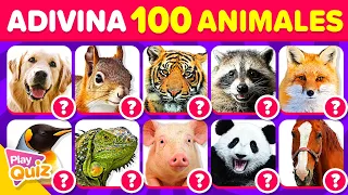 Adivina 100 Animales en 2 Segundos 🦁🐵🐸| PlayQuiz Trivia - Quiz Animales