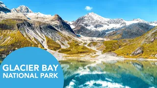 Cruise Glacier Bay National Park in Alaska | What to Expect