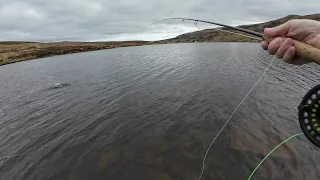 A great evenings fly fishing for wild brown trout on Loch Fada | Part 1