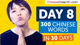 Day 8: 80/300 | Learn 300 Chinese Words in 30 Days Challenge