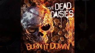 The Dead Daisies - What Goes Around