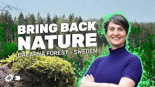 Bring back nature in Sweden