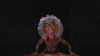 Disney's THE LION KING Tour Montage