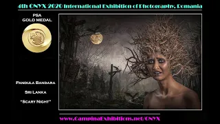 4th ONYX 2020 - AWARDS COLOR SECTION - International Exhibition of Photography, Romania