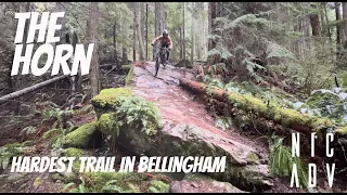 The Horn Bellingham Washington | First Lap trail review