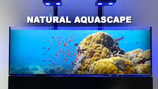 3 TIPS for a "natural reef tank aquascape" - coral aquarium style