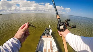 Tiny Baits and Topwater! Florida Shallow Water Fishing on a Gheenoe