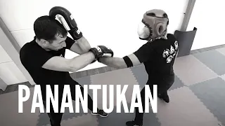 PANANTUKAN | Filipino Boxing by David Bertrand