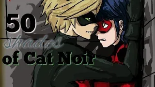 50 shades of Cat Noir