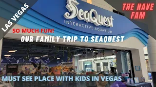 Our Trip to Las Vegas Seaquest Interactive Aquarium