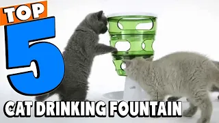 Top 5 Best Cat Drinking Fountain Review In 2022