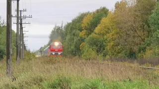 "Ласточка" Печоры-Санкт-Петербург (перегон "Моглино-Псков"), примерно в 2 км. от ст. "Моглино".