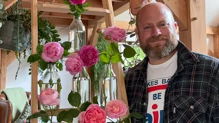 My new best of collection @david_austin_roses deep pink roses lined up side by side #gardenerben