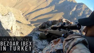 The Hunt for the Bezoar Ibex in Turkey