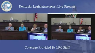 Legislative Ethics Committee Part 2 (8-15-23)