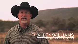 Wild hog hunting in Texas with Dos Plumas Hunting Ranch