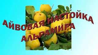 "Айвовая настойка от Альрамира". Тест самодельной настойки, изготовленной Альрамиром