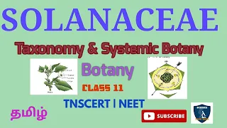 Solanaceae in Tamil | Taxonomy & Systematic Botany I Botany I Class 11 | TNSCERT | NEET